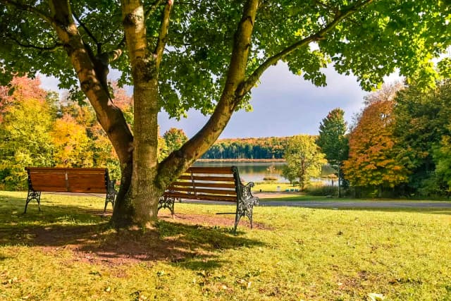 Bass Lake Resort