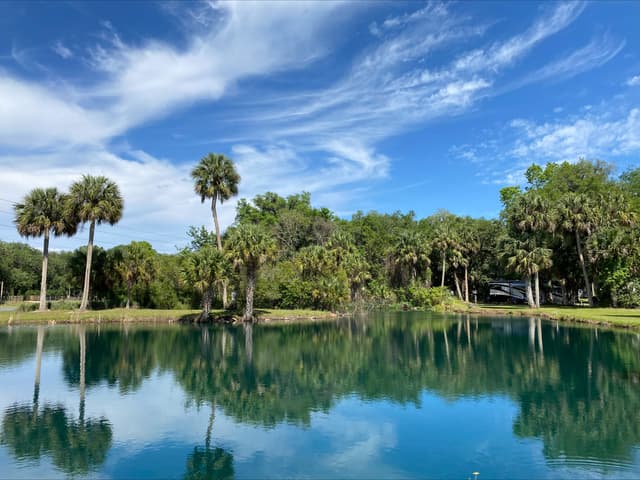 Thousand Palms Resort